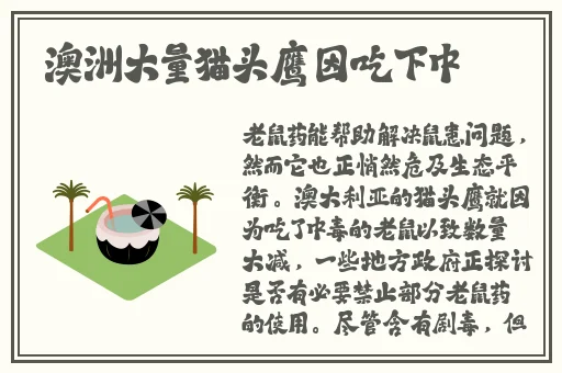 旗袍开襟做运动app